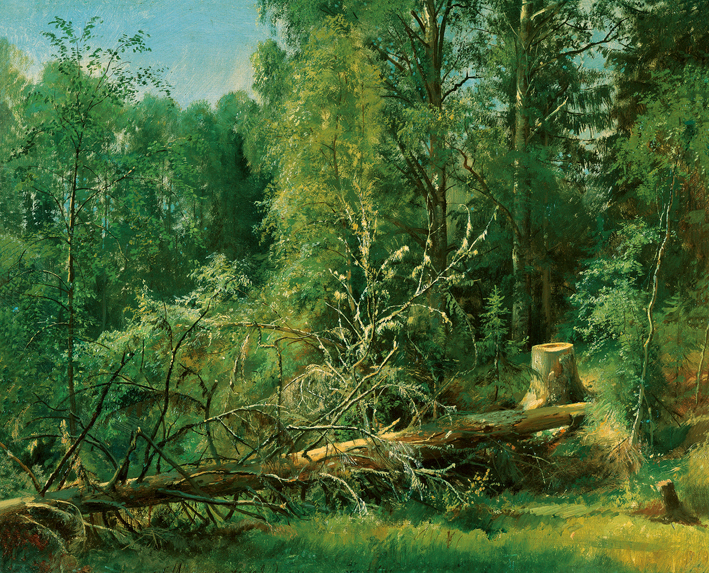  伊凡·伊凡诺维奇·希施金 Ivan I. Shishkin —— 林中采伐 (2)